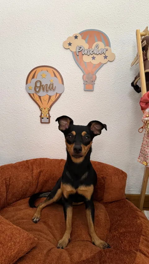 ❤️Decorando la habitación de Ona con dos globitos personalizados de madera de @elarte_detata